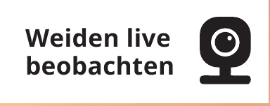 Weiden live beobachten